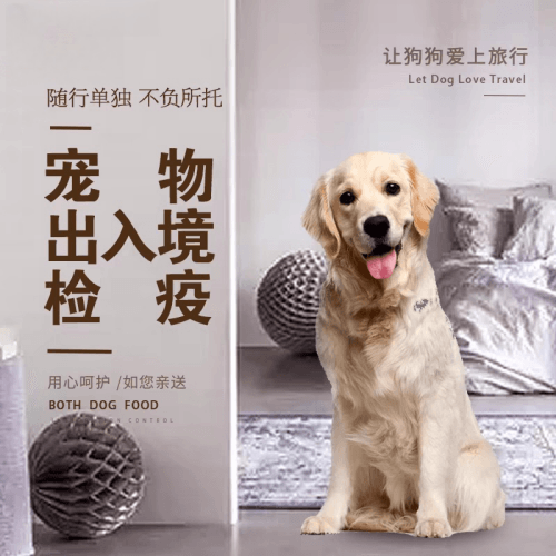 郑州市宠物托运到哥伦比亚猫狗宠物入境规定和
