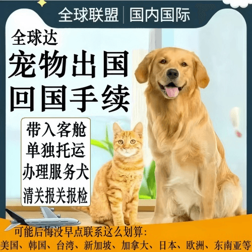 郑州市宠物托运到柬埔寨宠物入境规定和要求