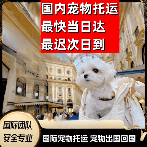郑州市到澳大利亚（澳洲）宠物入境规定和要求
