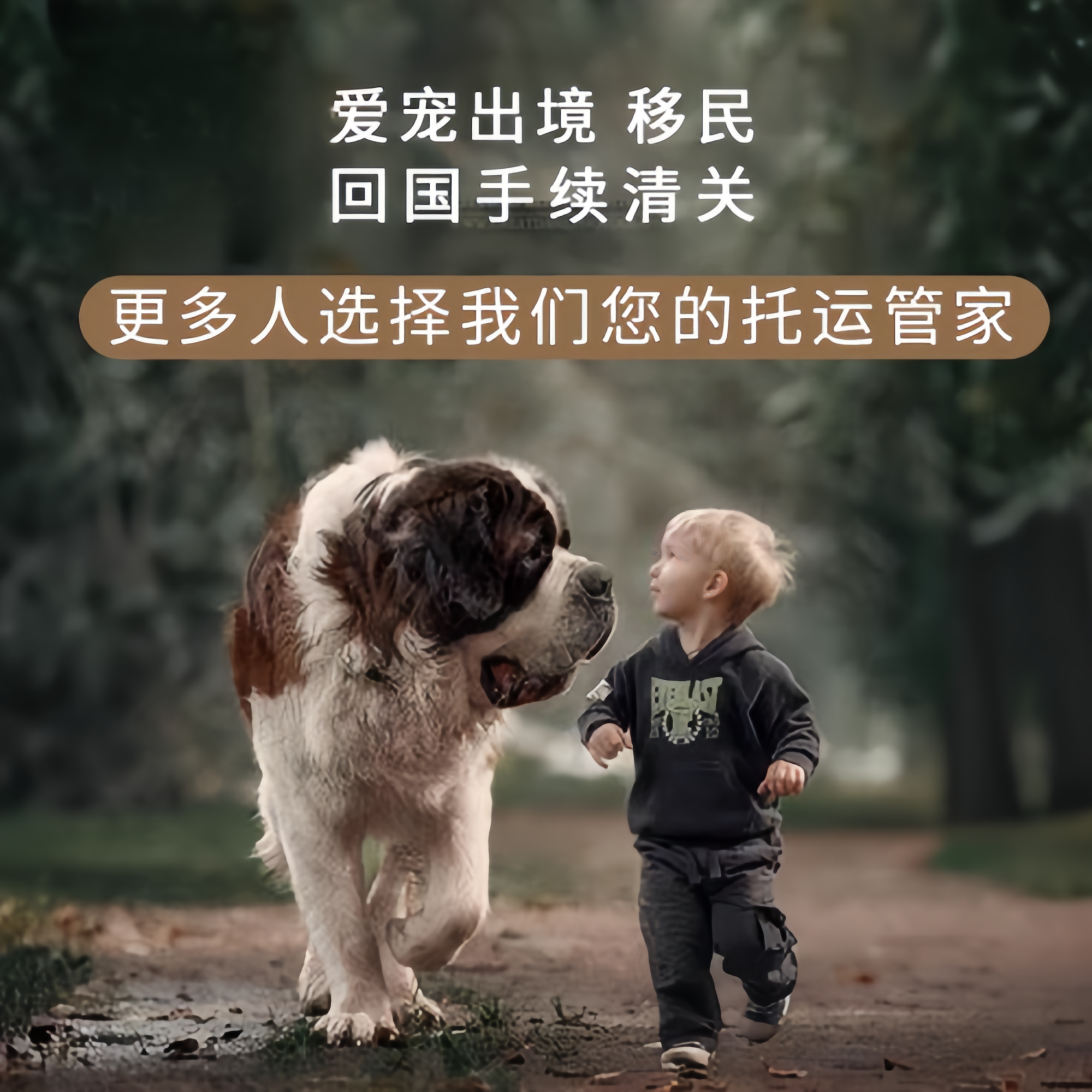满财郑州市宠物全球达宠物托运在遵守入境目的地政策的条件