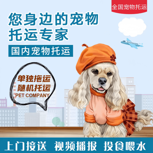满财郑州市宠物全球达宠物托运作为专业的宠物运输代理机构